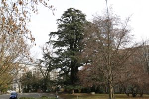 2019-03-02_11-06-12