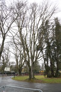 2019-03-02_14-02-34
