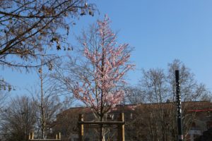 2019-03-24_09-40-32