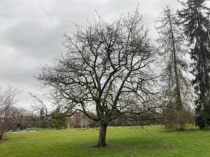 2020-02-02_16-53-22