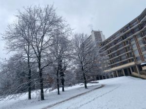 2021-01-17_08-46-28