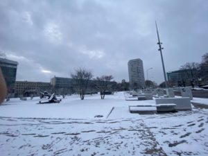 2021-01-17_08-50-59
