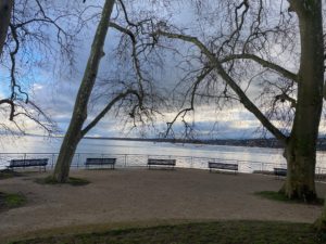 IMG_1297