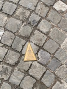 IMG_1310