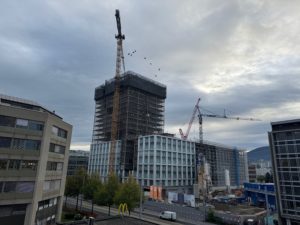 IMG_20241009_083250