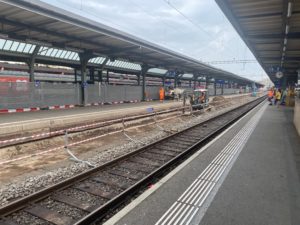 IMG_2629