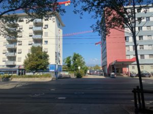 IMG_3655