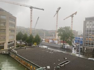 IMG_3701