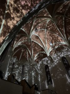 IMG_6625