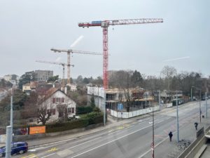 IMG_7184
