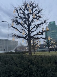 IMG_8076