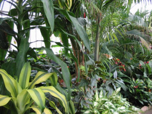 2003-04-12_14-58-07