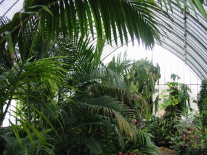 2003-04-12_14-58-12