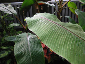 2003-04-12_14-58-53