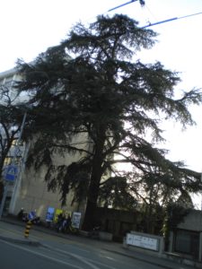 2010-03-02_17-49-37