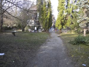 2010-03-17_16-49-52