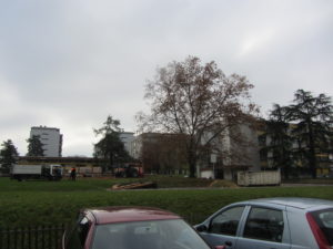 2012-11-19_13-01-39