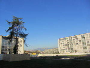 2013-04-17_09-02-48