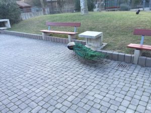 2015-03-07_18-07-27