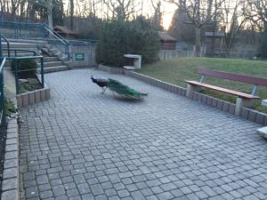 2015-03-07_18-07-36