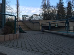 2015-03-07_18-07-56