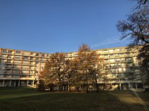 2018-11-24_08-43-26