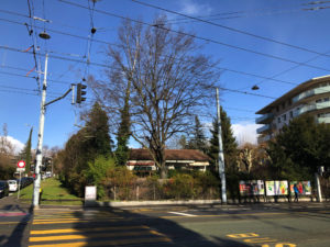 2019-01-01_14-47-28