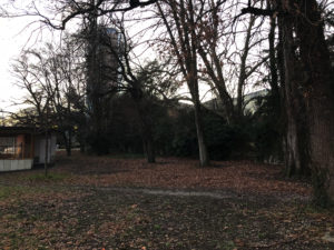 2019-01-01_14-47-32