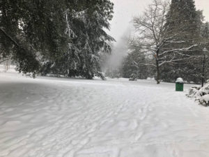 2019-01-01_14-48-19