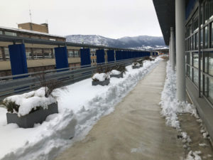 2019-01-01_14-48-34