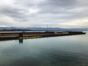 2019-01-01_14-48-41