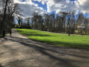 2019-01-01_14-49-32