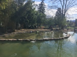 Chemin de l&rsquo;Impératrice 2017-03-26_12-31-46