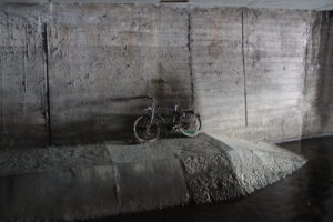 Genève-Canal de l&rsquo;aire-2011JDP-13