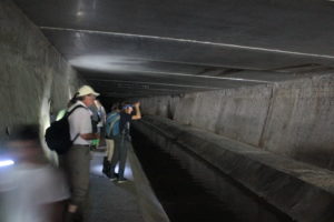 Genève-Canal de l&rsquo;aire-2011JDP-14