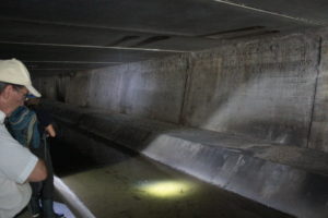 Genève-Canal de l&rsquo;aire-2011JDP-16