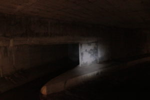 Genève-Canal de l&rsquo;aire-2011JDP-20
