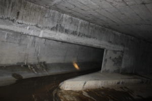 Genève-Canal de l&rsquo;aire-2011JDP-21