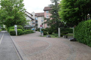 IMG_0339
