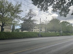 IMG_8841