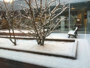 Route de Meyrin 2015-02-02_08-30-32
