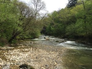 Route de l&rsquo;Allondon 2015-04-26_12-03-10