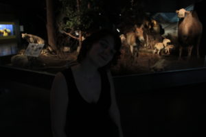 2013-04-14_16-50-14