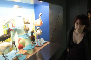 2013-04-14_16-51-47