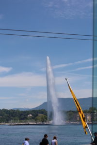 IMG_1206