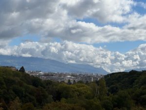IMG_2950