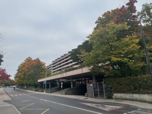 IMG_3038