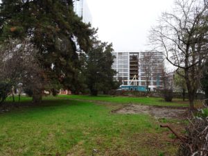 2025-12-16_14-10-47