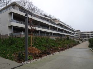 2025-12-20_16-31-50