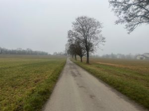 2026-01-17_09-35-24